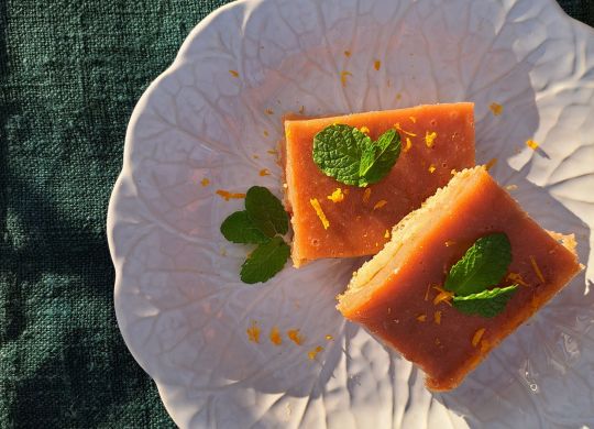 Rhubarbe_orange (18)-compressed